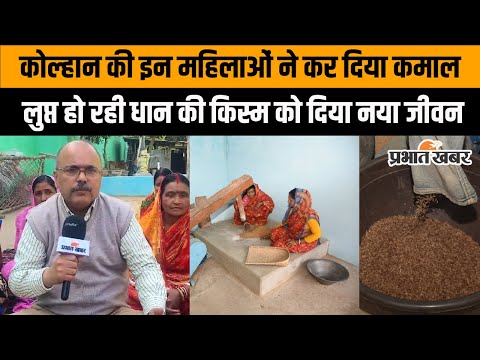 लुप्त हो रही धान की किस किस्म को कोल्हान की महिलाओं ने दिया है नया जीवन? 1 Jharkhand News: लुप्त हो रही धान की किस्म को इन महिलाओं ने दिया नया जीवन