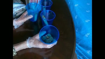 ASMR - Rolling Coins & Sorting Coin Wrappers