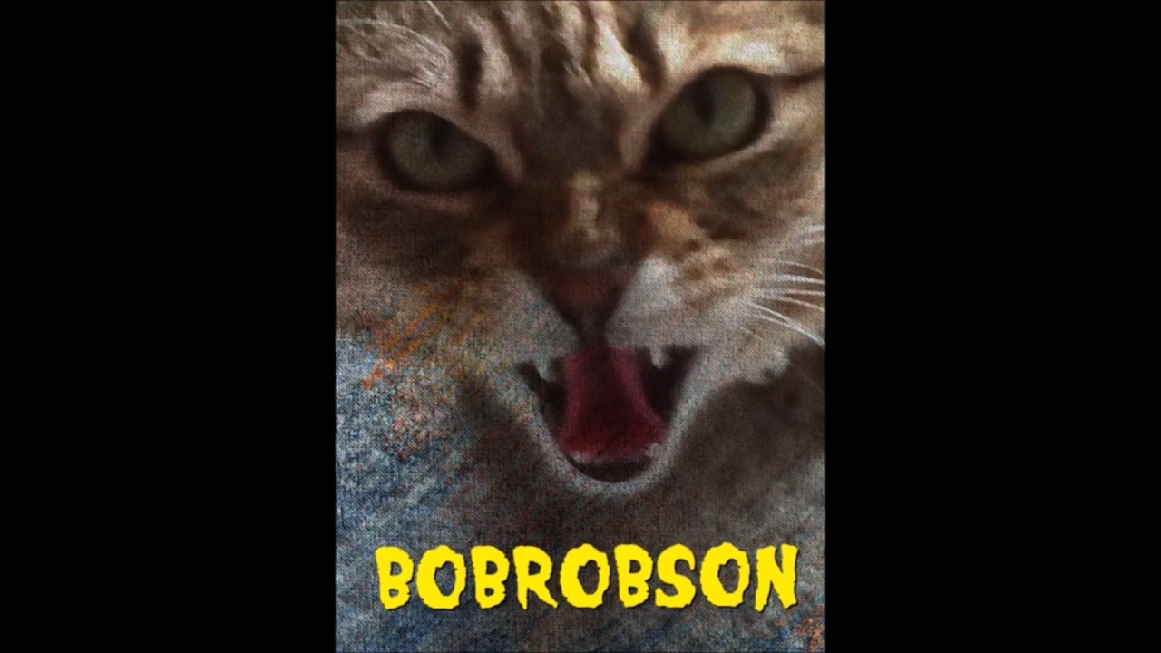 WORTHLESS MAN / BOBROBSON