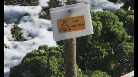 Extend - Paul Brtschitsch/Phonoptiks