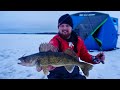 Jigging Up WALLEYES in Northern WI! (NON-STOP ACTION)