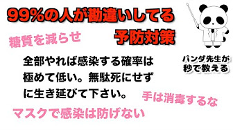 Mits パンダ Youtube