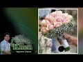 HOW TO MAKE EASY BRIDAL BOUQUET | FRESH FLOWER LIGHT PINK ROSES AND WHITE GYPSOPHILA