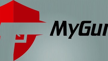 Intro - Gun Database