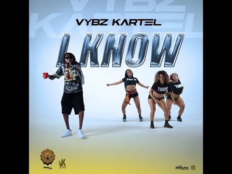 NE-YO Vybz Kartel レコード2枚miss indpendent NE-YO Vybz Kartel レコード2枚miss indpendent レコード