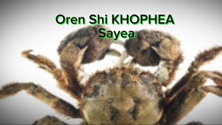 Oren Shi KHOPHEA Sayea, Remixed and Generated, @Nzanyanthan7