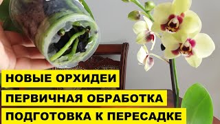 :  ...       