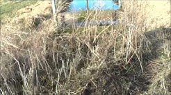Hundehaltungsverordnung Brandenburg Hundehaltungsverordnung Brandenburg