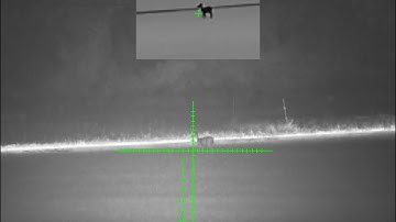 DNT ThermNight TNC225R deer at 234 yards.