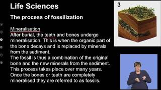 Life Sciences Grd 10 Fosilization And History Of The Earth S1