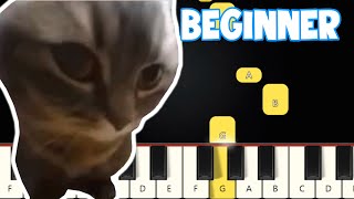 Chipi Chipi Chapa Chapa - Meme Song | Beginner Piano Tutorial | Easy Piano