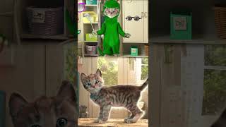 Care For Little Kitten Adventure - Playing With The Kitten And Finding The Right Disguise