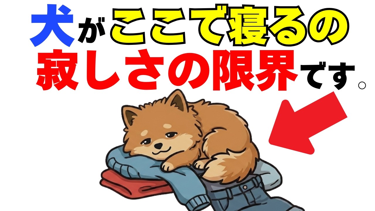 【知らないと危険】犬が寂しさの限界の合図１２選