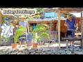 Buhay probinsya  buhay bukid  countryside  life in the philippines amigacha