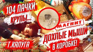 МЕРТВЫЕ МЫШИ В КОРОБКЕ ИЗ ПОД МАСЛА И 104 ПАЧКИ ПРОСРОЧЕННОЙ КРУПЫ | ГИПЕРМАРКЕТ "МАГНИТ" | Калуга МЕРТВЫЕ МЫШИ В КОРОБКЕ ИЗ ПОД МАСЛА И 104 ПАЧКИ ПРОСРОЧЕННОЙ КРУПЫ | ГИПЕРМАРКЕТ "МАГНИТ" | Калуга