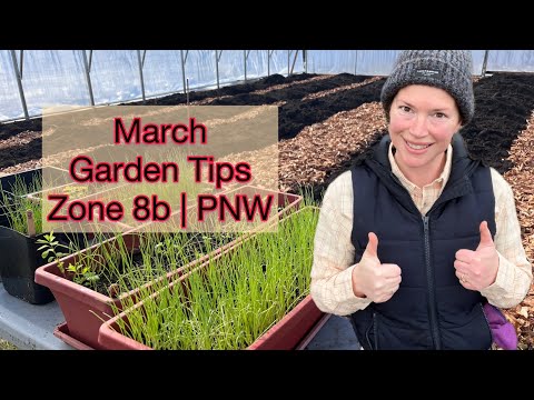 Vídeo: Pacific Northwest Gardening: Lista de tarefas para os jardins de março