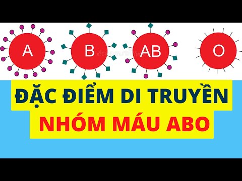 Video: Cha mẹ nhóm máu A và B có thể sinh con nhóm máu O được không?