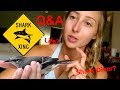 Saving Injured Bird Q&A Shark bite? Life!