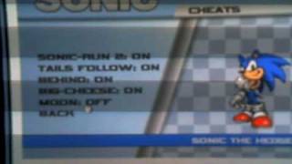 Sonic flash password and cheats