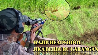 SENSASI BERBURU GARANGAN// HARUS HEAD SHOOT