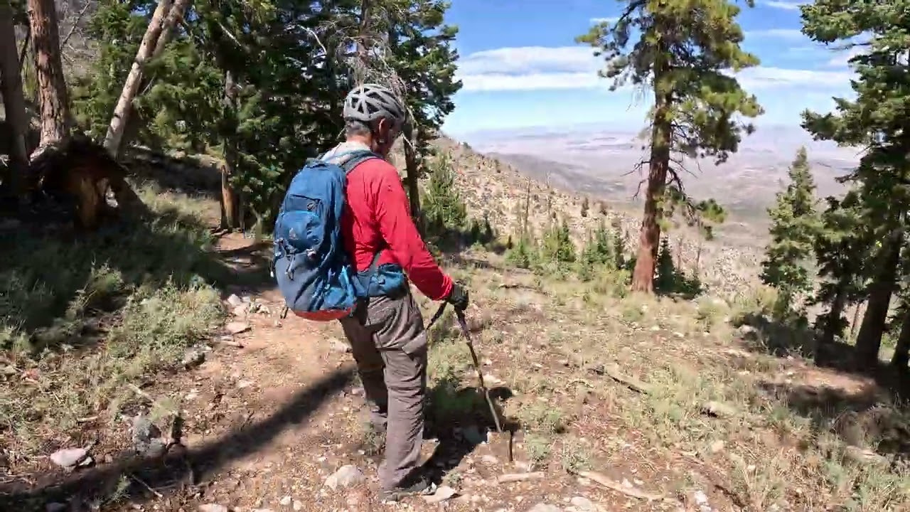 Exploring Willow Peak in the Spring Mountains  Scenic Summit 