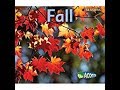 Fall - Stories for kids