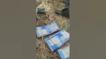 Bello Turji Innalillahi Zamfara Allah Ya Kawo Mana Dauki Zamfara Belloturji Bellogaladanchi 