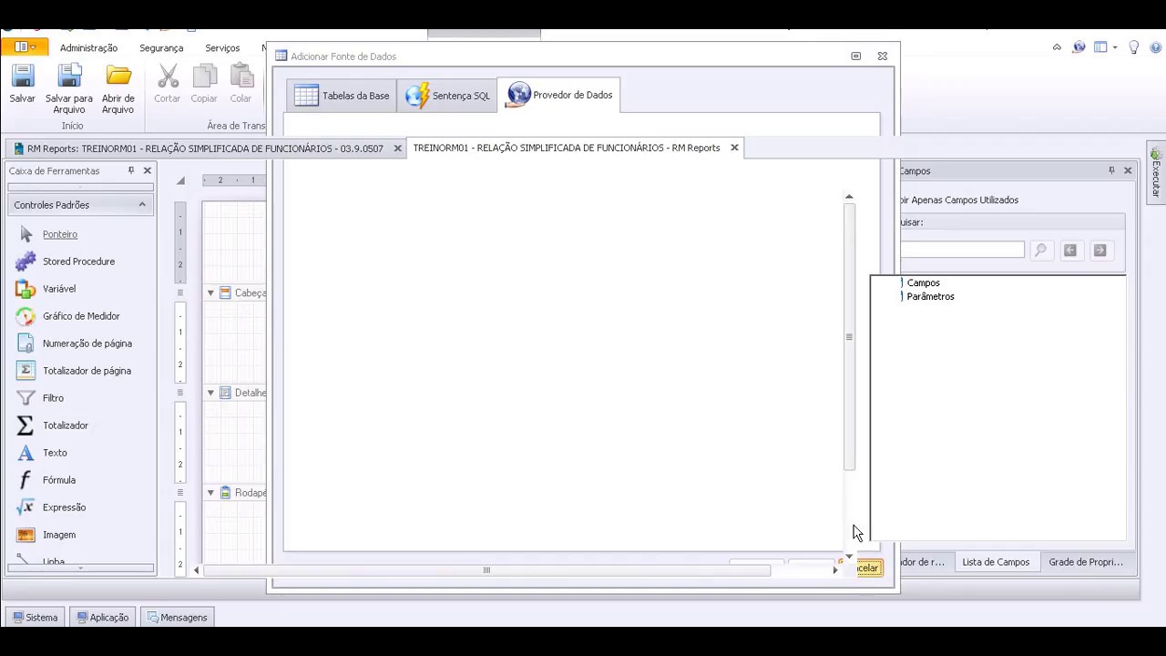 Curso RM Reports - Módulo 01 - Aula 02 - Estrutura Básica de um Relatório