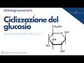 Ciclizzazione del glucosio meccanismo di reazionecorso di biochimica