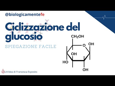 Video: Perché il beta glucosio si capovolge?