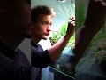 Trimming session on the pond tank #pondtank #aquascaping #theworldofgreen #plantart #plantlover