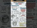 anatomy #shorts #anatomy