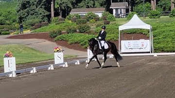 RF Defacto FEI 5 year old preliminary test