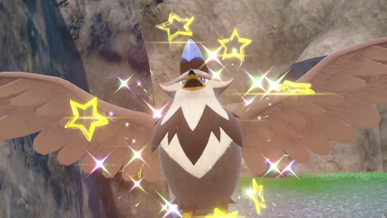 PEV : Étouraptor (Staraptor) Shiny