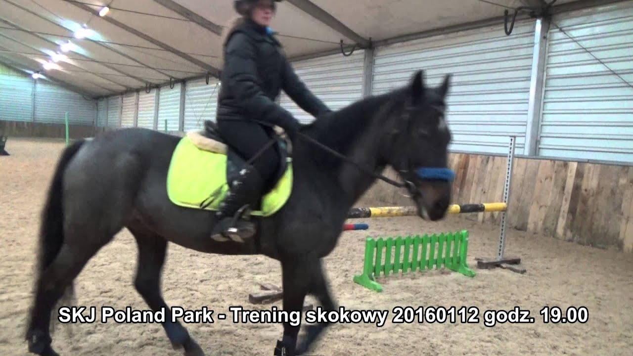 SKJ Poland Park - 20160112 trening skokowy