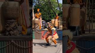 Tam Tam Drummers of Harambe at Animal Kingdom