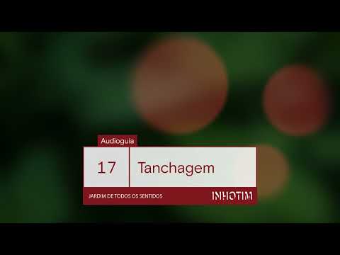 Audioguia Jardim de Todos os Sentidos | Tanchagem