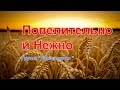 Группа "Дорога життя " - Повелительно и Нежно