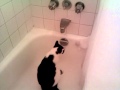 cleo taking a shower after mummy lol x