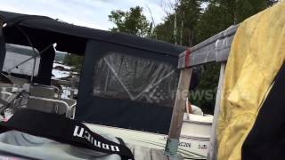 Huge dock spider protecting its babies Dock Spider Nest