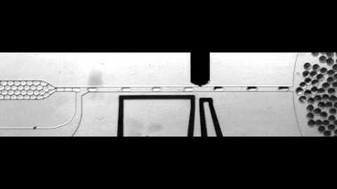 ARAbate, picoinjection