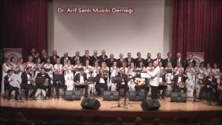 Dalda çıkmış bir elma  - Dr. Arif Şanlı Musiki Derneği Resimi