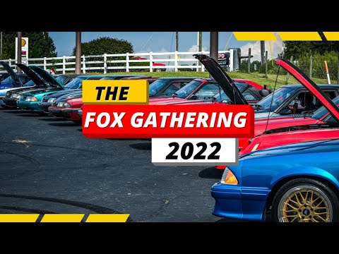 The Fox Gathering