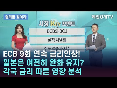 ECB 9회 연속 금리인상! 일본은 여전히 완화 유지? 각국 금리 따른 영향 분석/ 월리를 찾아라/ 매일경제TV