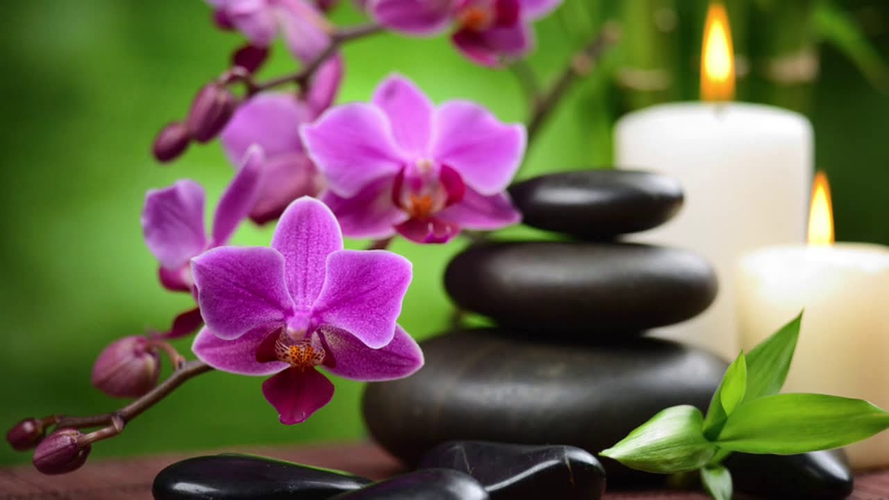 Feng Shui Guide For Wealth Prosperity
