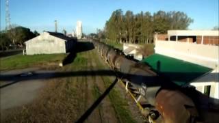 Tren cargado de FEPSA rumbo a General Deheza