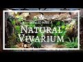 How to build a Natural Vivarium (From Scratch)!
