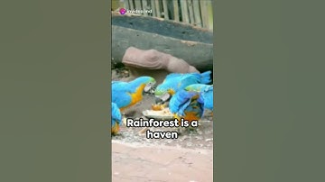 Amazon #viral #video #respect