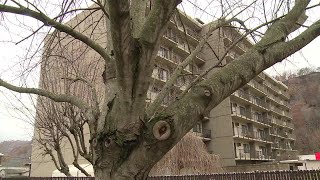 Four weeks of no working elevators at senior high-rise