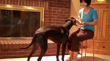 Changing verbal cue to visual cue